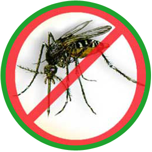 dengue